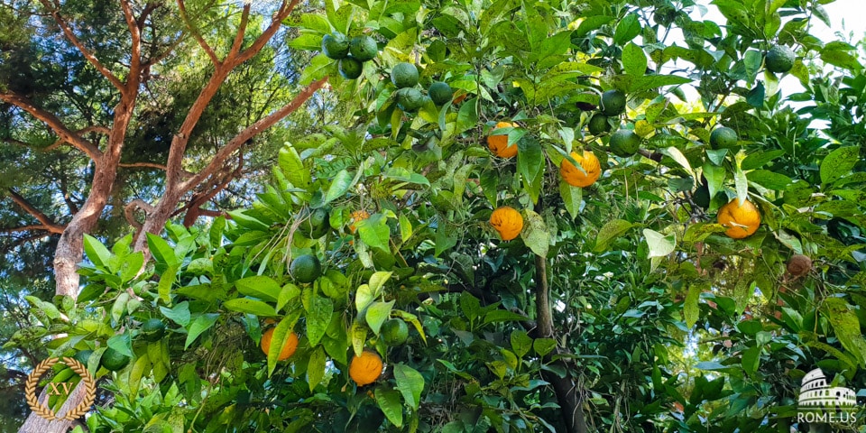 Le Jardin des Orangers Le Jardin des Orangers à Rome sur l’Aventin