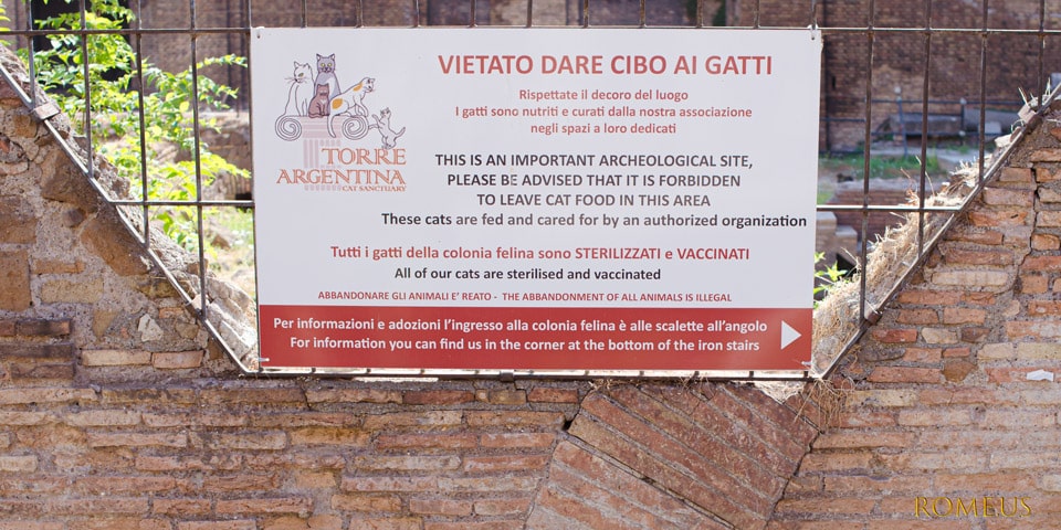 Informations pour les visiteurs du refuge pour chats à Rome Informations pour les visiteurs du refuge pour chats à Rome
