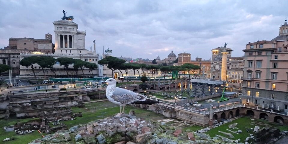 Vue du marché de Trajan