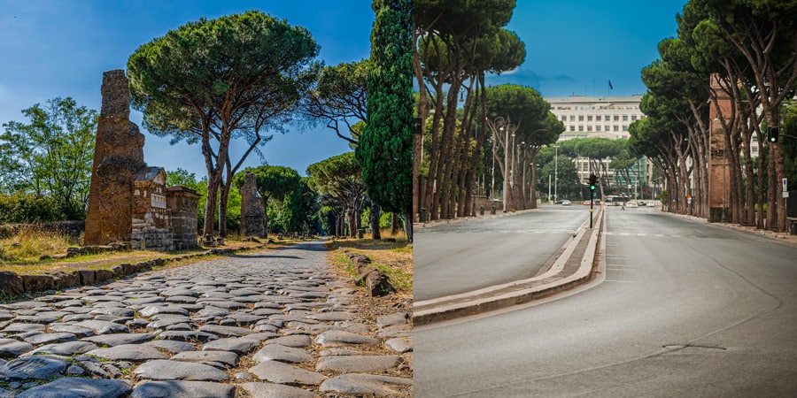 Pins parasols le long des routes de Rome