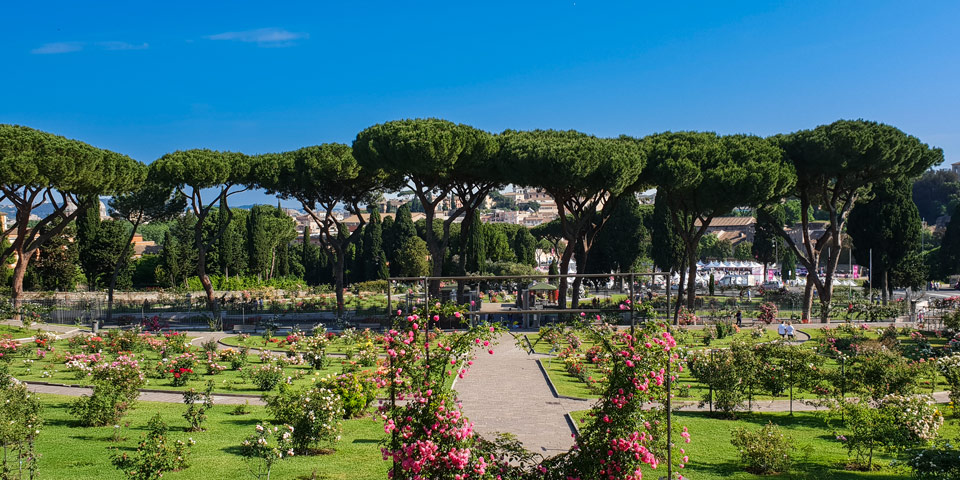 Pins parasols, roseraie sur l’Aventin avec vue sur Rome