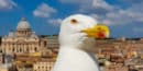 Que voir à Rome