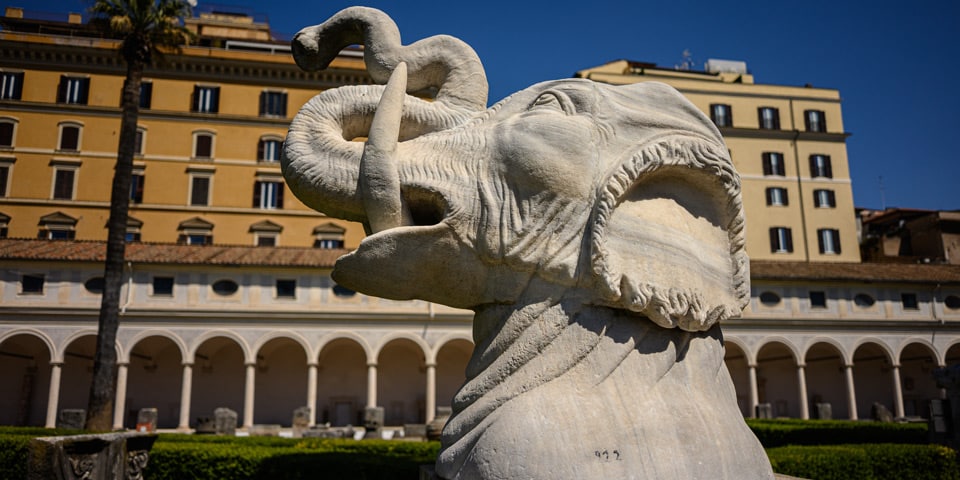 Tête colossale d’éléphant en marbre de la Renaissance avec un serpent, dans le grand cloître des Thermes de Dioclétien à Rome