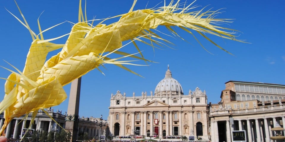 Palmier sur la place Saint-Pierre, Cité du Vatican Palmier sur la place Saint-Pierre, Cité du Vatican