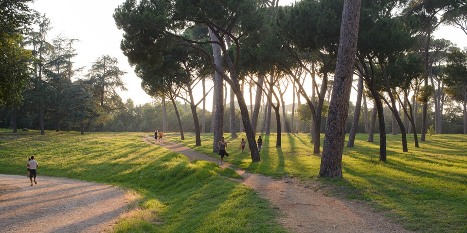 Coureurs traversant une prairie sous les pins parasols au coucher du soleil dans la Villa Doria Pamphilj en juillet