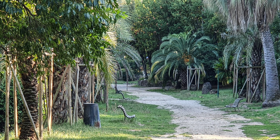 Allée tranquille bordée de palmiers et de bancs à l’intérieur de Villa Sciarra, sur les pentes du Janicule
